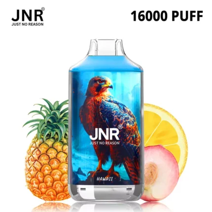 JNR Falcon 16000 Puffs 16K Vape 54 Flavors Free Shipping France Belguim Italy